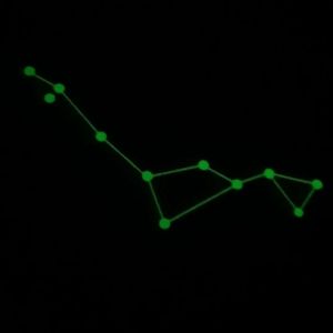 CETUS The Sea Monster Glow In The Dark CARD Stargo Game Replacement Piece